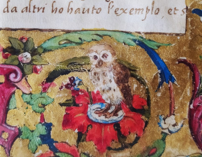 cover Apertura straordinaria di Palazzo Guidiccioni